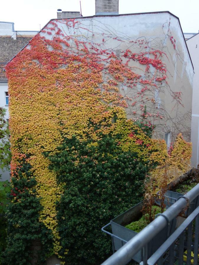 Private In Prenzlauerberg Accommodatie bij particulieren Berlijn
